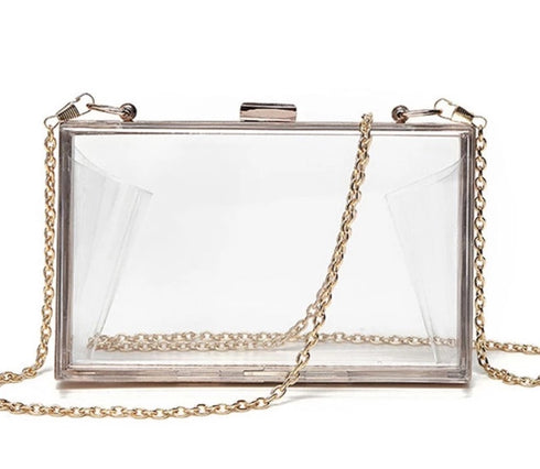 Treasure Box | clear purse